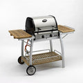 LANDMANN Barbecues à usage, 2 x 49 x 24 cm, Argent/Bois, Barbecue à gaz ( ) 12202